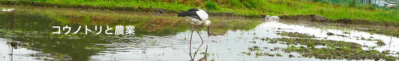 コウノトリと農業