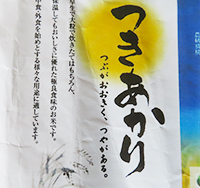 つきあかり