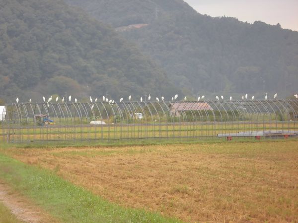 CIMG1680.JPG