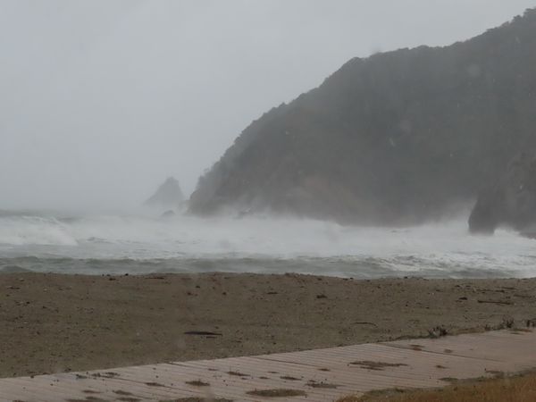 IMG_1220.JPG
