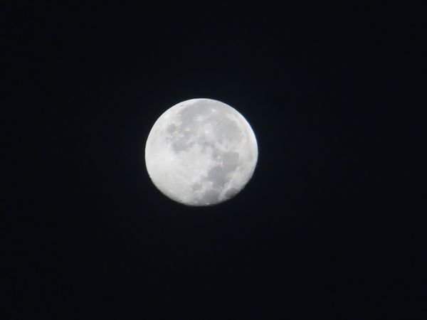IMG_1528.JPG