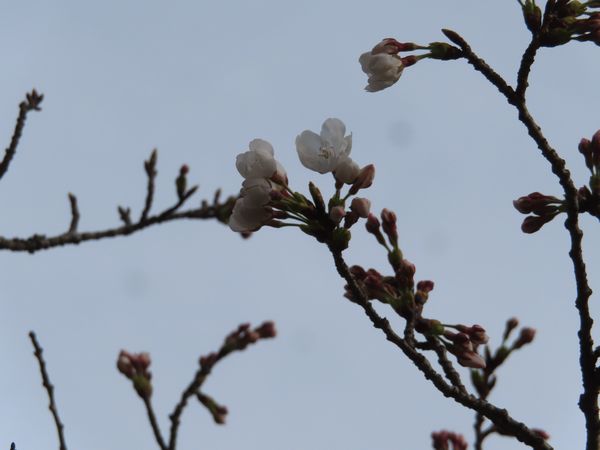 IMG_1646.JPG