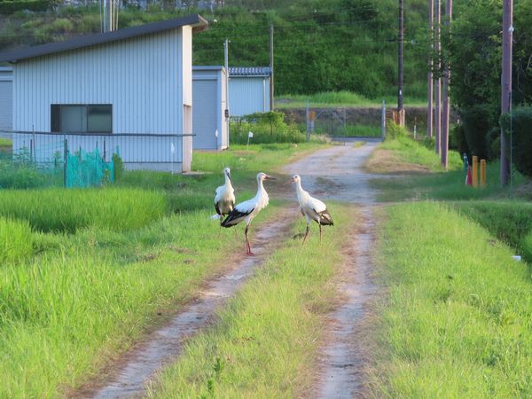 IMG_1798.JPG
